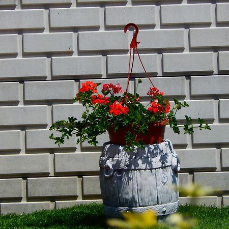 Luna Vendeghaz Siofok Bagian luar foto