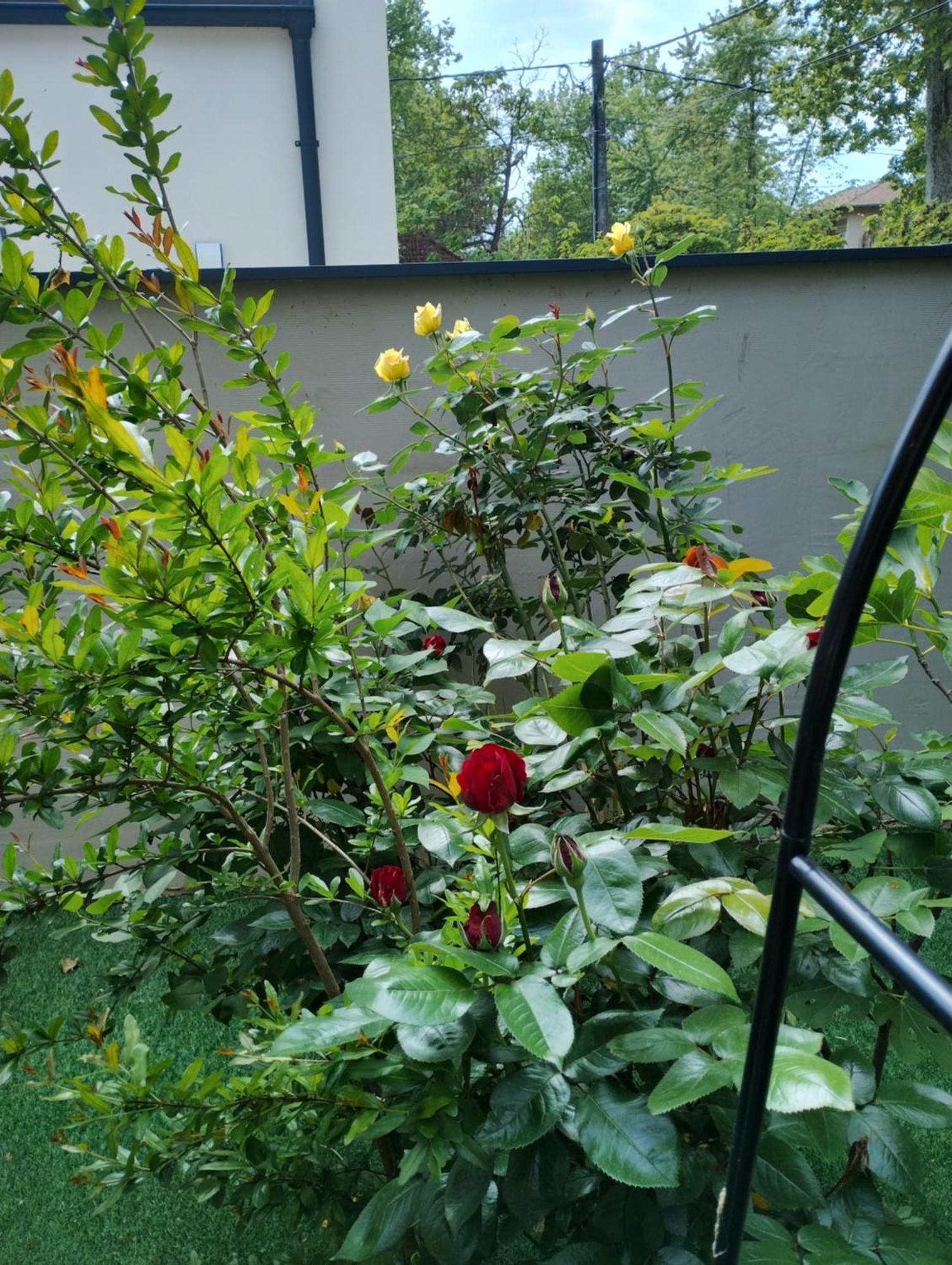 Luna Vendeghaz Siofok Bagian luar foto