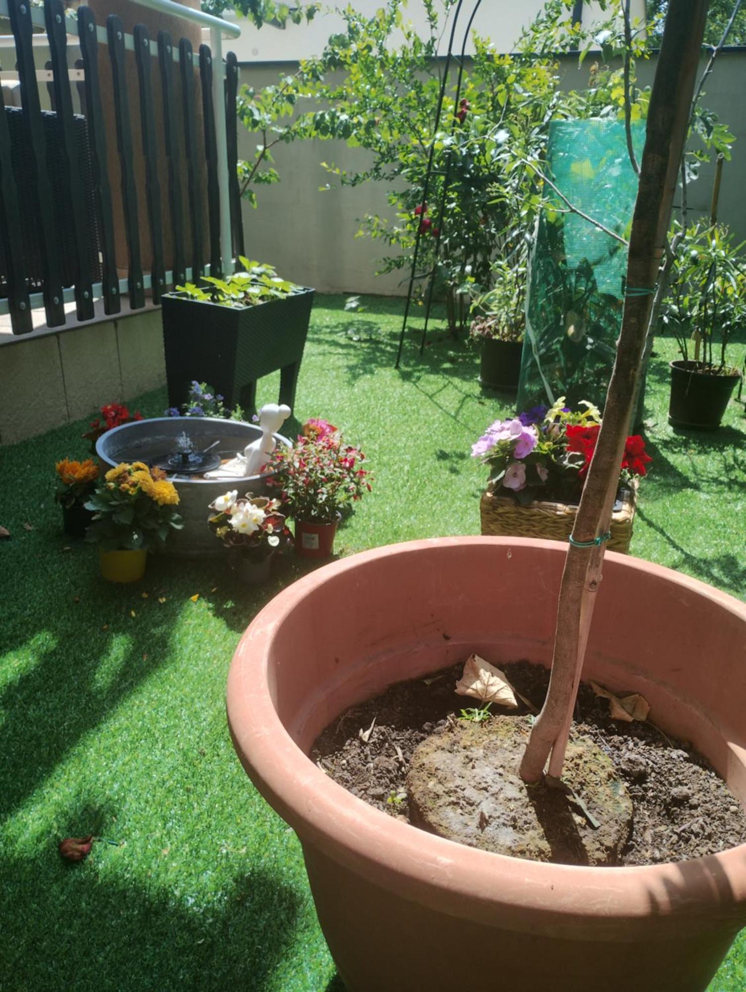Luna Vendeghaz Siofok Bagian luar foto